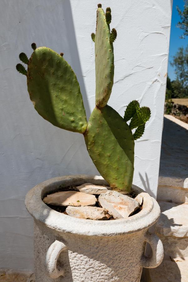 Il Trullo Della Rondinina Villa Alberobello Bagian luar foto