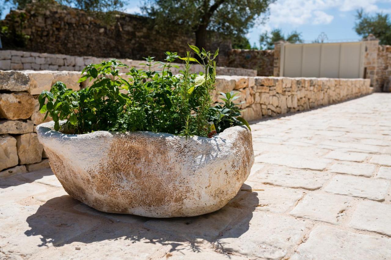 Il Trullo Della Rondinina Villa Alberobello Bagian luar foto