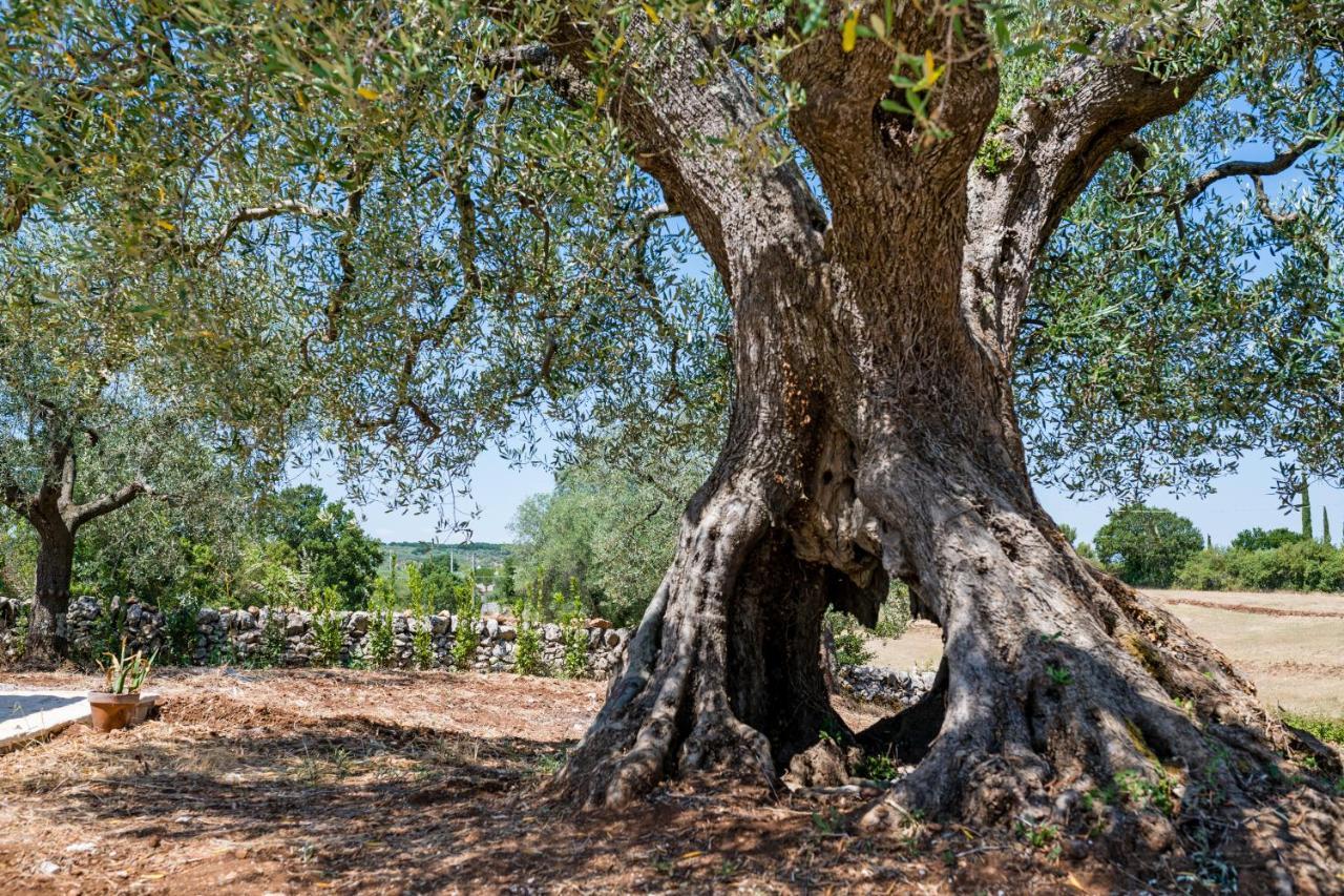 Il Trullo Della Rondinina Villa Alberobello Bagian luar foto
