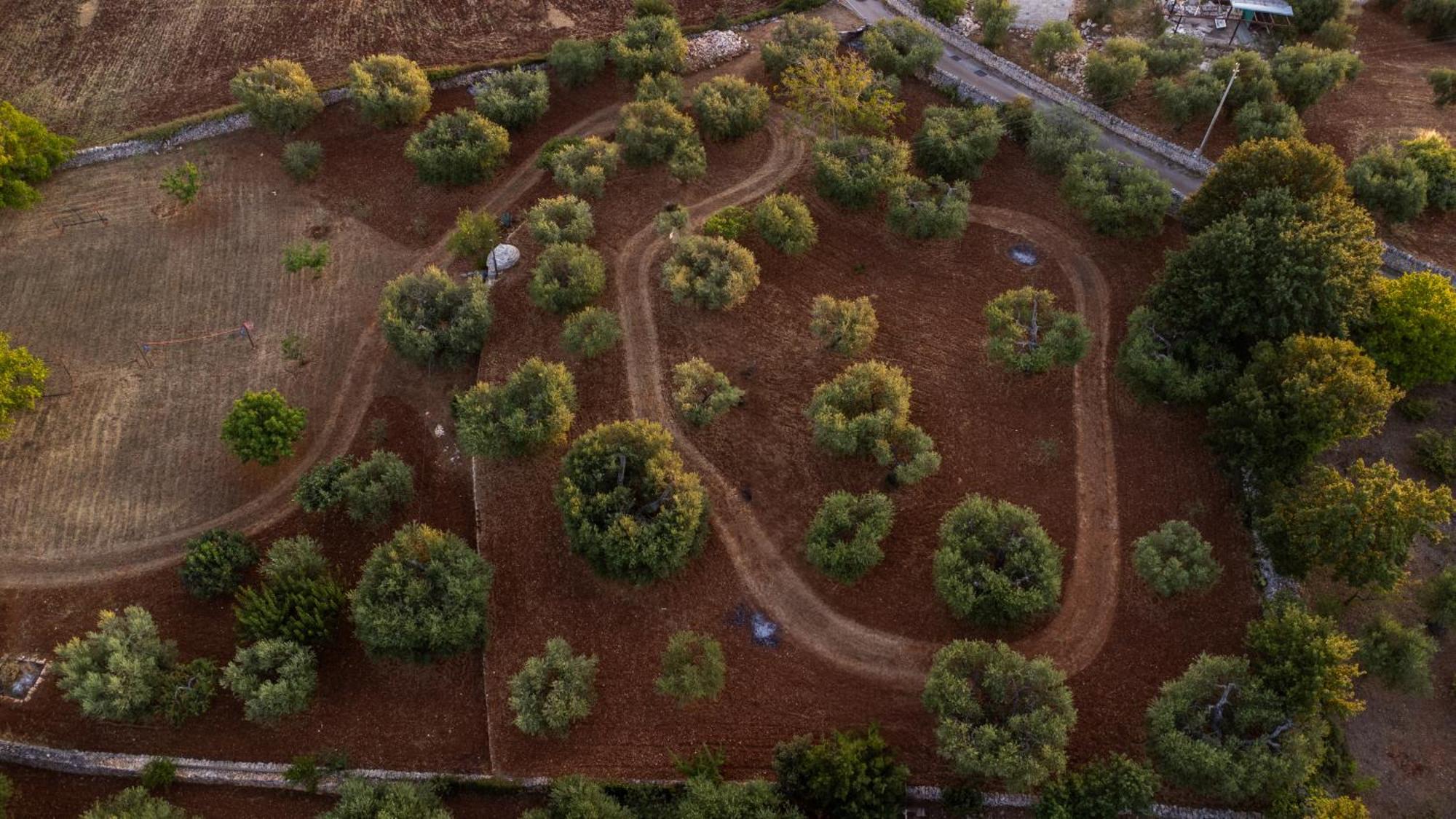 Il Trullo Della Rondinina Villa Alberobello Bagian luar foto