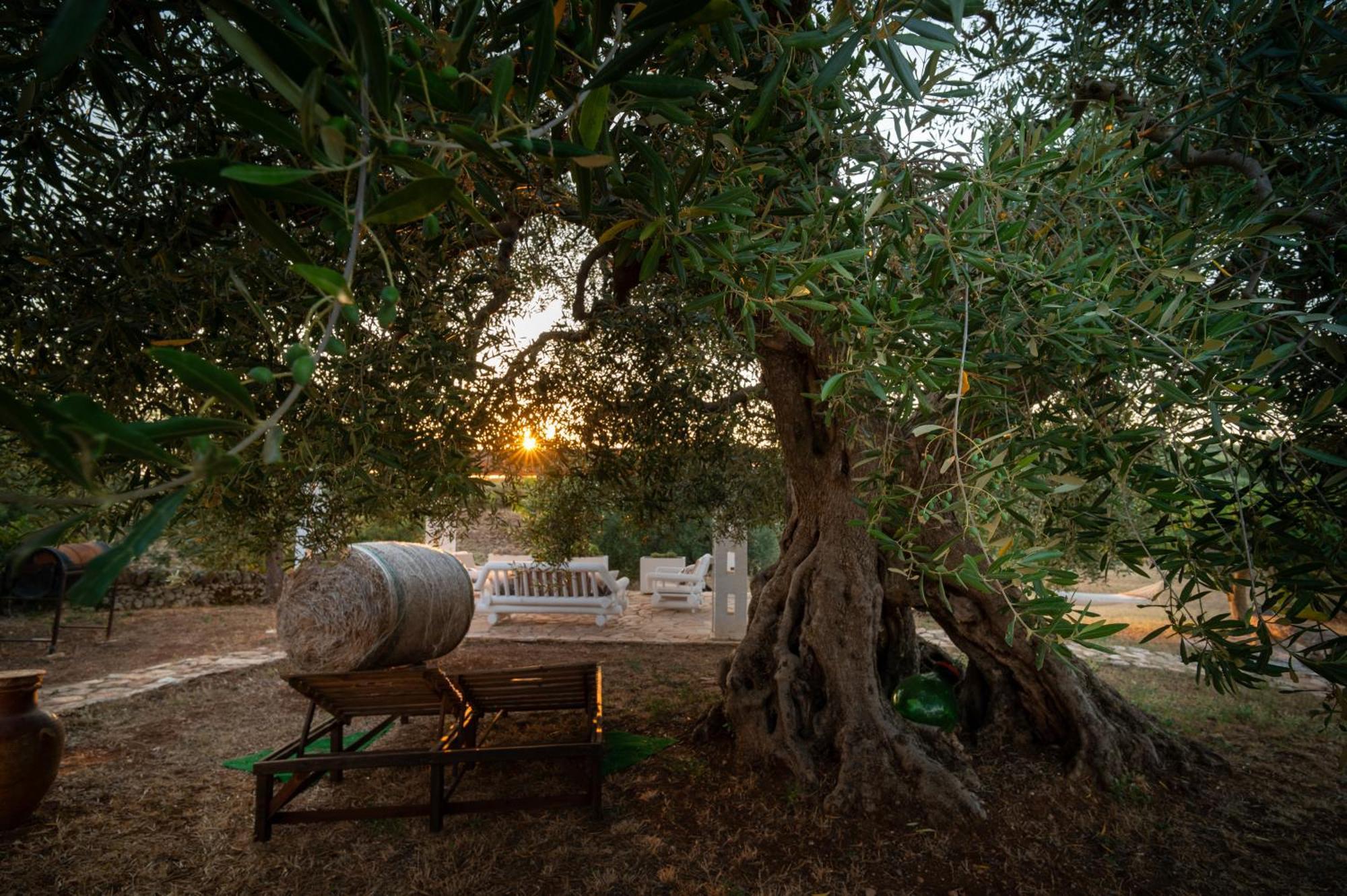 Il Trullo Della Rondinina Villa Alberobello Bagian luar foto