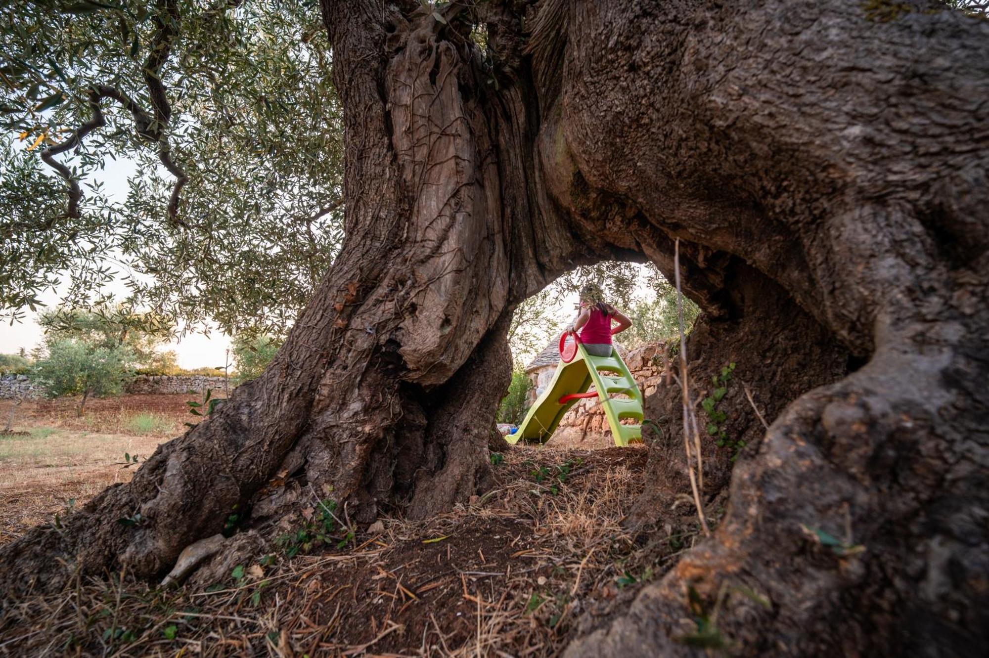 Il Trullo Della Rondinina Villa Alberobello Bagian luar foto